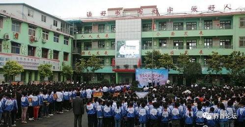 阜阳爆料临泉新闻视频,揭秘最新爆料视频背后的真相  第3张