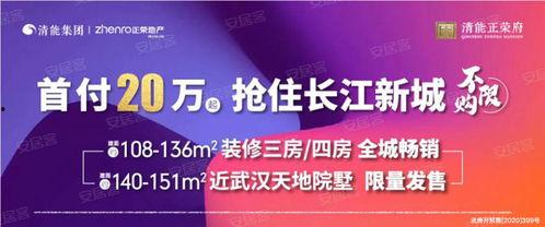 武汉王先生最新爆料新闻,揭秘XX事件背后真相