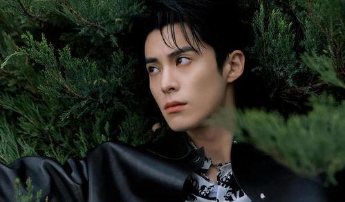 白鹿和王鹤棣最新爆料,揭秘幕后故事与精彩瞬间  第1张